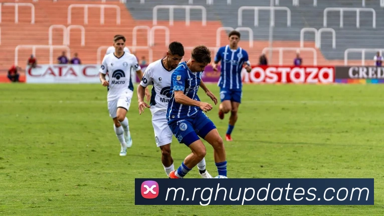 开元网页版平台生态图